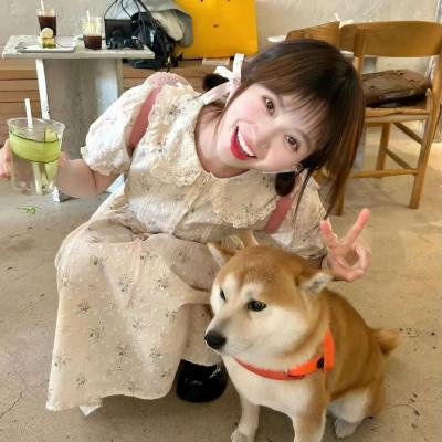 忍冬玫瑰